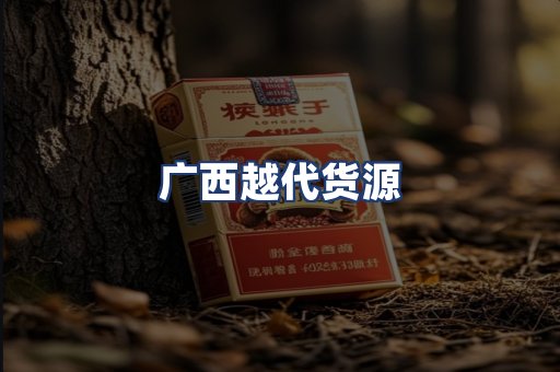 广西越代货源